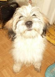 post-5446-0-53596800-1353401701_thumb.jp