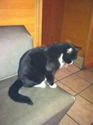 post-5446-0-53774800-1353563977_thumb.jp