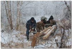 post-6541-0-00293100-1385476009_thumb.jp