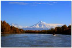 post-6541-0-12121900-1383839745_thumb.jp