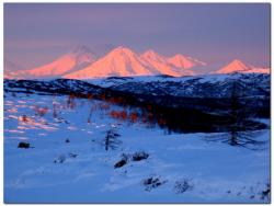 post-6541-0-14204200-1383656058_thumb.jp