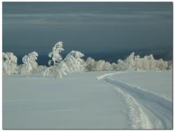 post-6541-0-22769900-1383656005_thumb.jp