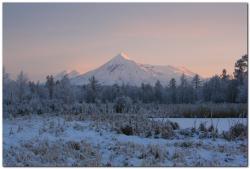 post-6541-0-24277300-1385475483_thumb.jp