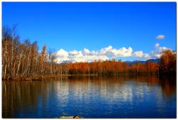 post-6541-0-24326500-1383839952_thumb.jp