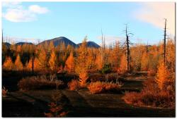 post-6541-0-27848200-1383839608_thumb.jp