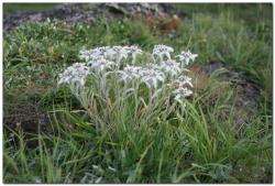 post-6541-0-34428700-1384725055_thumb.jp