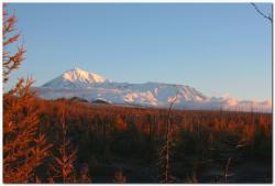 post-6541-0-34781000-1383839705_thumb.jp