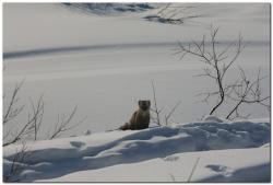 post-6541-0-35902300-1384189876_thumb.jp