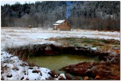 post-6541-0-36905600-1383656369_thumb.jp