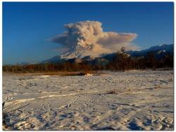 post-6541-0-39516600-1383656505_thumb.jp