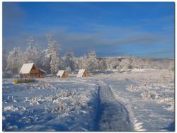 post-6541-0-43435900-1383656121_thumb.jp