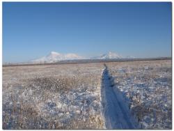 post-6541-0-45867600-1383655938_thumb.jp