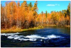 post-6541-0-55926000-1383840027_thumb.jp