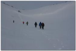 post-6541-0-81344200-1384189430_thumb.jp