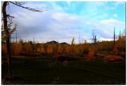 post-6541-0-85714100-1383839566_thumb.jp