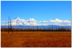 post-6541-0-94896200-1383839837_thumb.jp