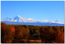 post-6541-0-96985400-1383839526_thumb.jp