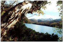 post-6541-0-97421400-1385010649_thumb.jp