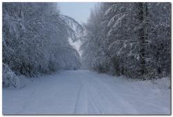 post-6541-0-24759500-1387283187_thumb.jp