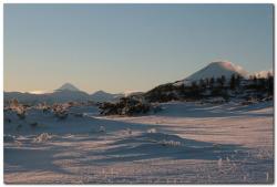 post-6541-0-29624200-1387283826_thumb.jp