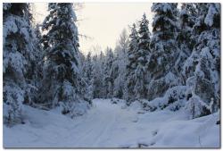 post-6541-0-33810400-1387283963_thumb.jp