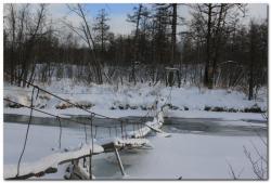 post-6541-0-84843000-1387283396_thumb.jp