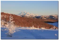 post-6541-0-91379400-1387283786_thumb.jp