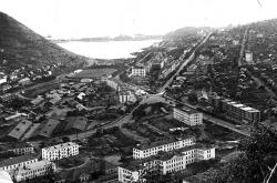 254-1.thumb.jpg.a59729fa1409f6aa782d1669