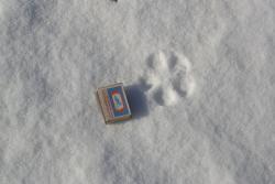 _DSC8886_изменить размер.JPG