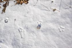 _DSC8887_изменить размер.JPG