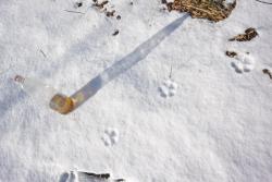 _DSC8888_изменить размер.JPG