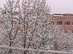 После снегопада