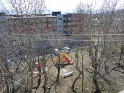 Город Петропавловск-Камчатский