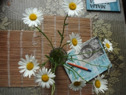 Добрый вечер, Камчатка!