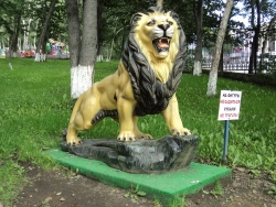 Лев в городе Петропавловске-Камчатском