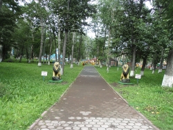 Львы в Петропавловске-Камчатском