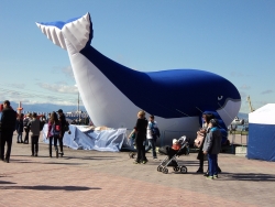 Экологический фестиваль "Море жизни"