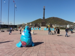 Экологический фестиваль "Море жизни"