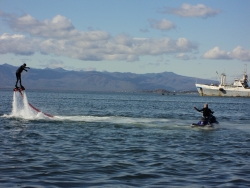 Экологический фестиваль "Море жизни"