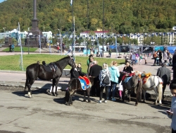 Экологический фестиваль "Море жизни"
