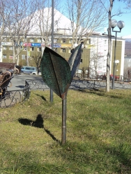 Черемша зелёная, полезная, железная