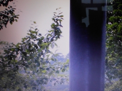 Узнаете? Что это? Где это?