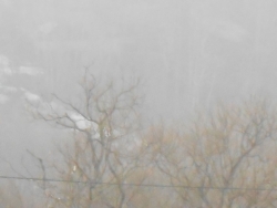 Доброе утро!