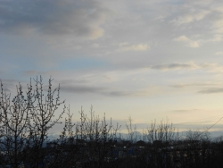 Добрый вечер!