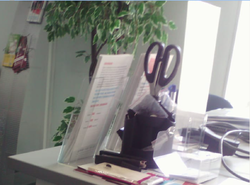 муха клиент7.png