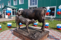 Корова с теленком у молокозавода