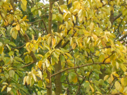 Добрый день, Камчатка!