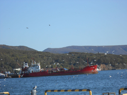 Добрый день, Камчатка!