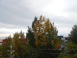 Добрый день, Камчатка!