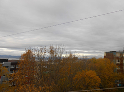 Доброе утро!